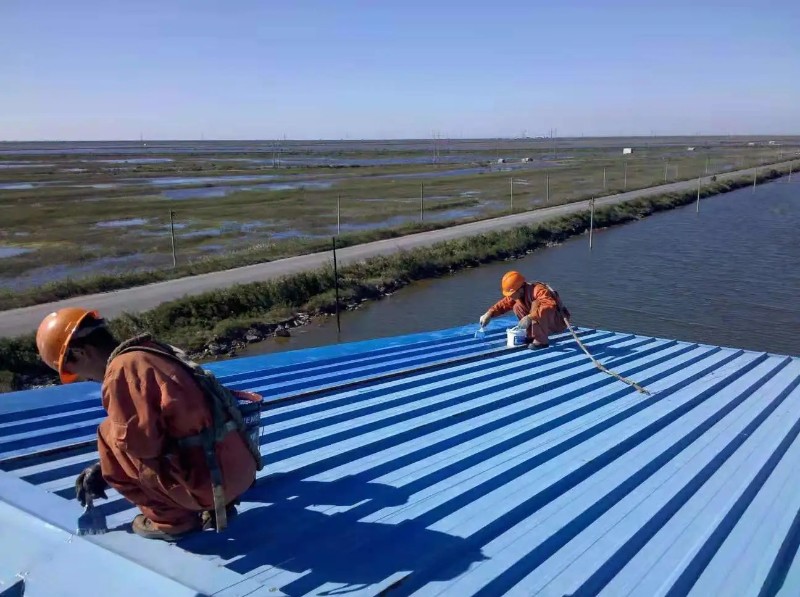 公安钢结构屋面漏水原因