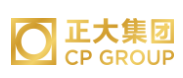 公安正大集团